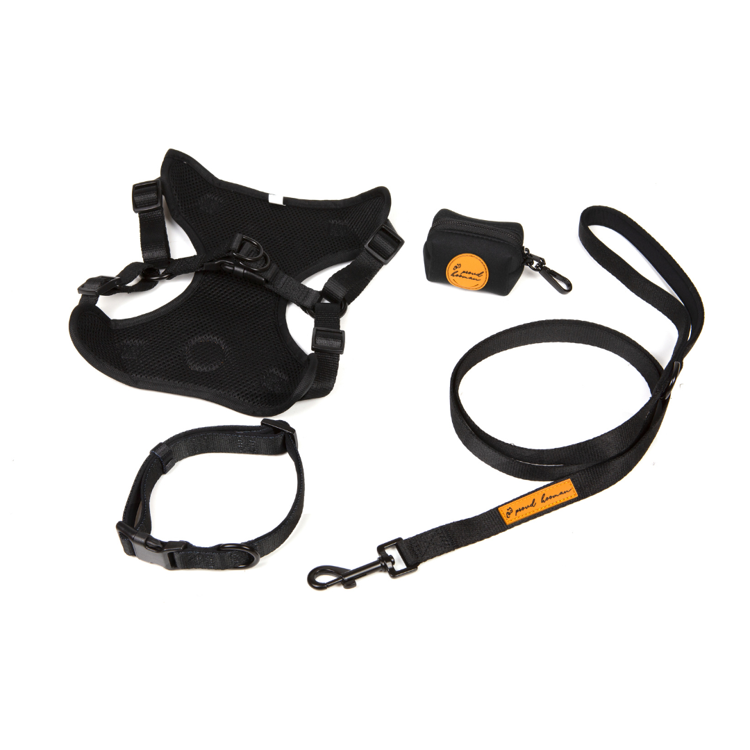 Harness Walk Set - Black Concrete