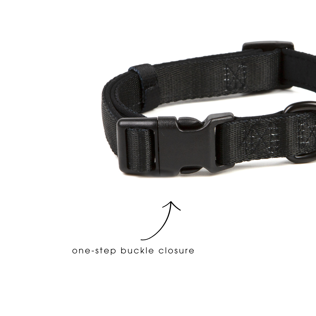 Collar Walk Set - Tropical Ocean