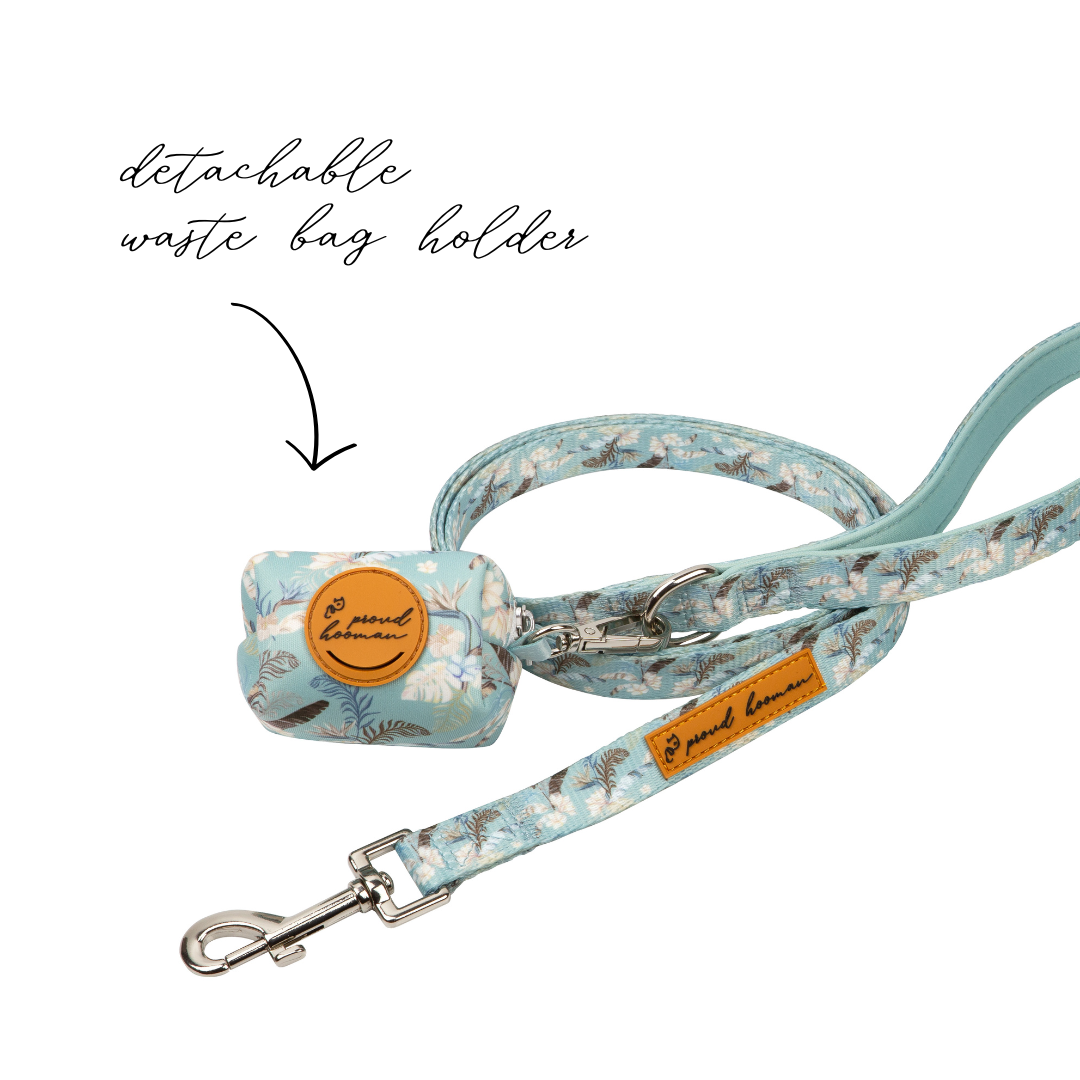Collar Walk Set - Tropical Ocean