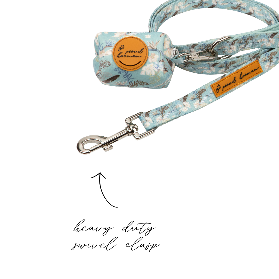 Collar Walk Set - Tropical Ocean